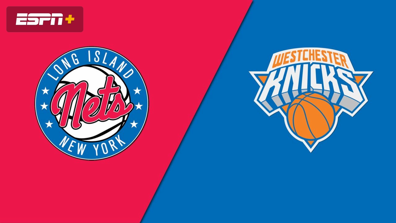 Long Island Nets v Westchester Knicks