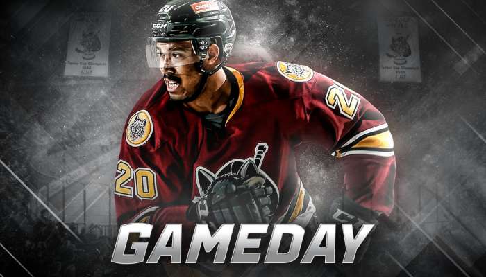 Texas Stars vs Chicago Wolves