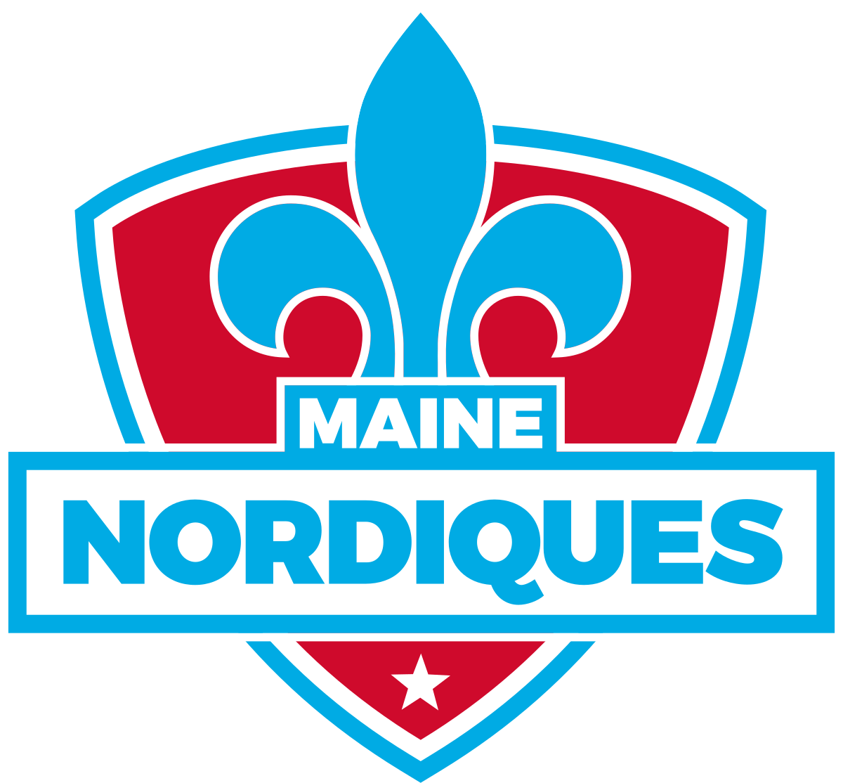 The Buzz v. Maine Nordiques
