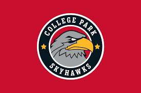 College Park Skyhawks at South Bay Lakers